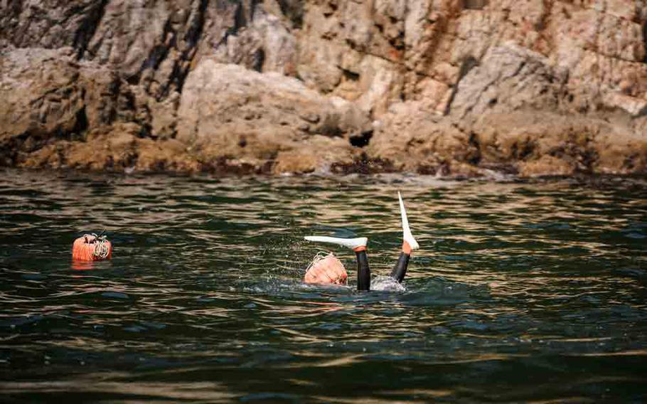 a haenyeo in the sea