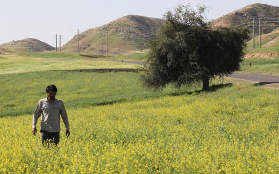 Still shot from the opening film "Scent of the Wind" courtesy of BIFF