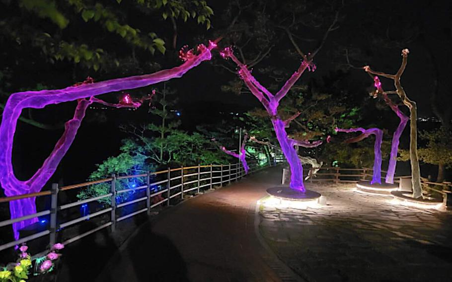 Nighttime Light Park