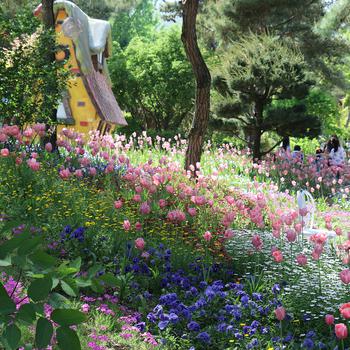 flower garden at Nature Park