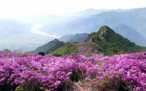 Hadong-gun