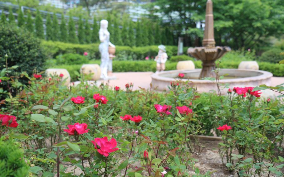 flower garden at Nature Park