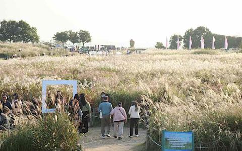 Photo Of 23rd Seoul Silver Grass Festival to illuminate Haneul Park Oct. 19-25