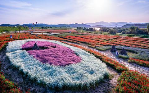 Photo Of Korea's 25 off-the-beaten path tourist attractions to visit in spring