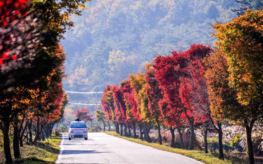 Images: Namhae-gun