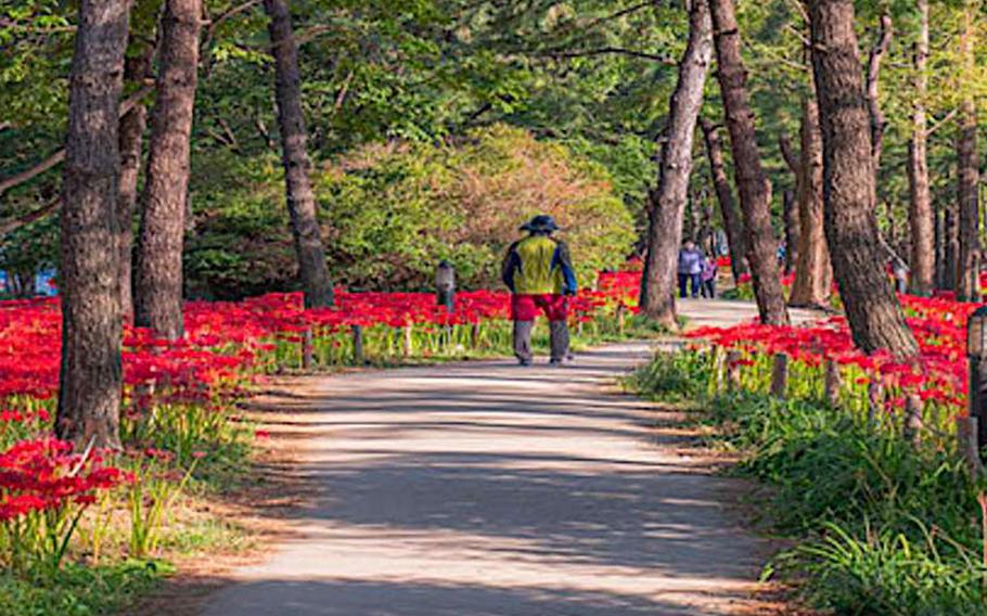 Image: Gimhae City