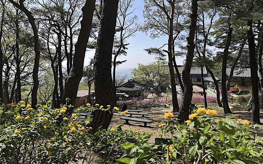 shared forest at Hoapsa Temple