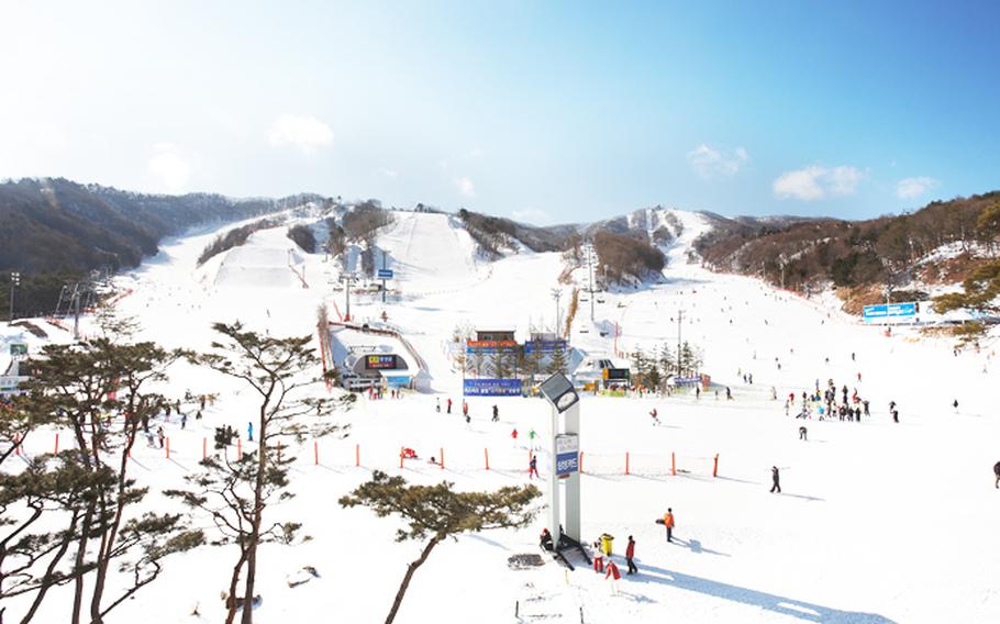 Vivaldi Park Ski World (Credit: Daemyung Theme Park & Entertainment)