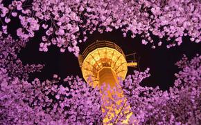 E-World 83 Tower and cherry blossom