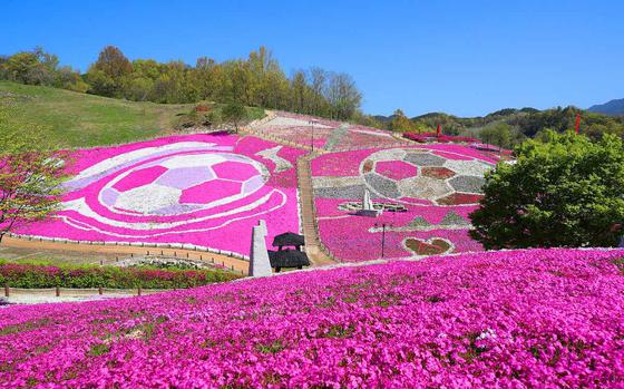 Sancheong Saengcho International Sculpture Park