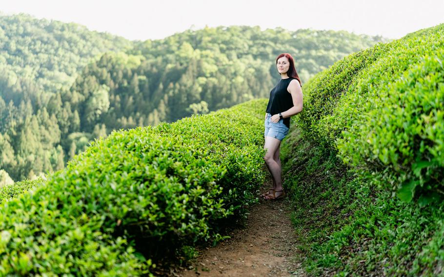 The author standing in the tea field