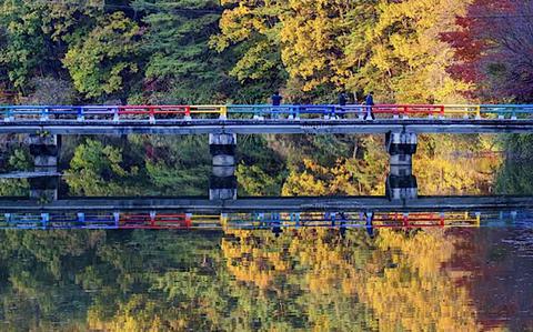 Photo Of Embrace the Autumn Charm of Ipgok County Park in Haman-gun, Korea