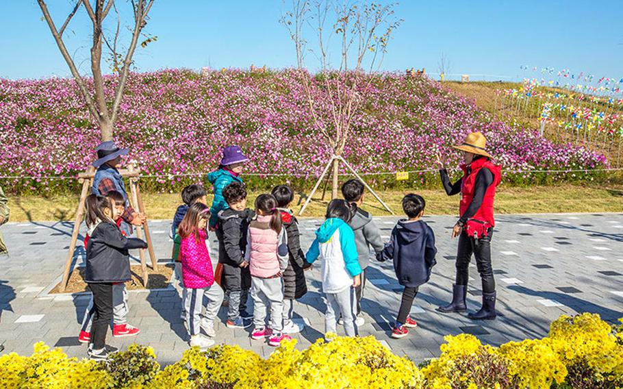 Photo courtesy of Pyeongtaek Argro Ecolological Park