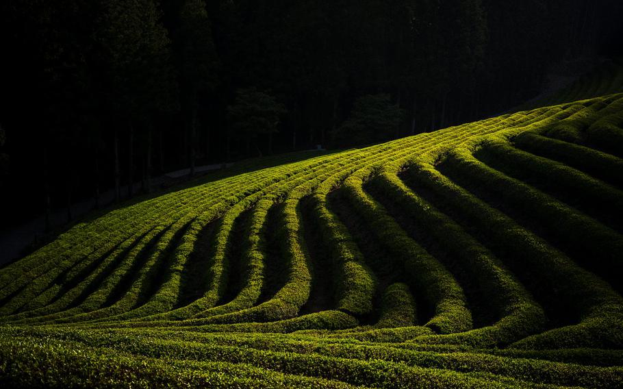 One of my favorite images from by time at Daehan Dawon