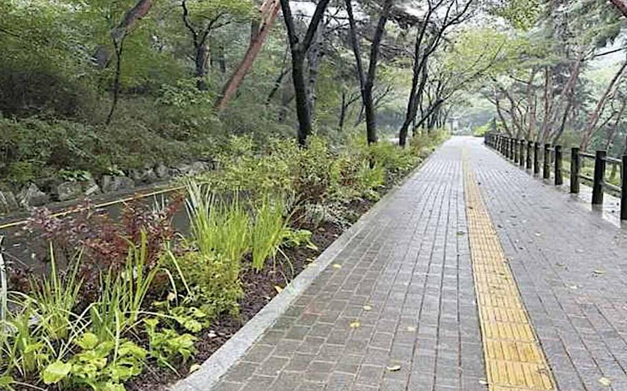 walking trail in Namsan, Seoul