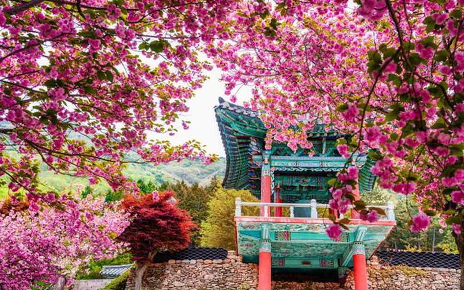 Image: Sacheon City