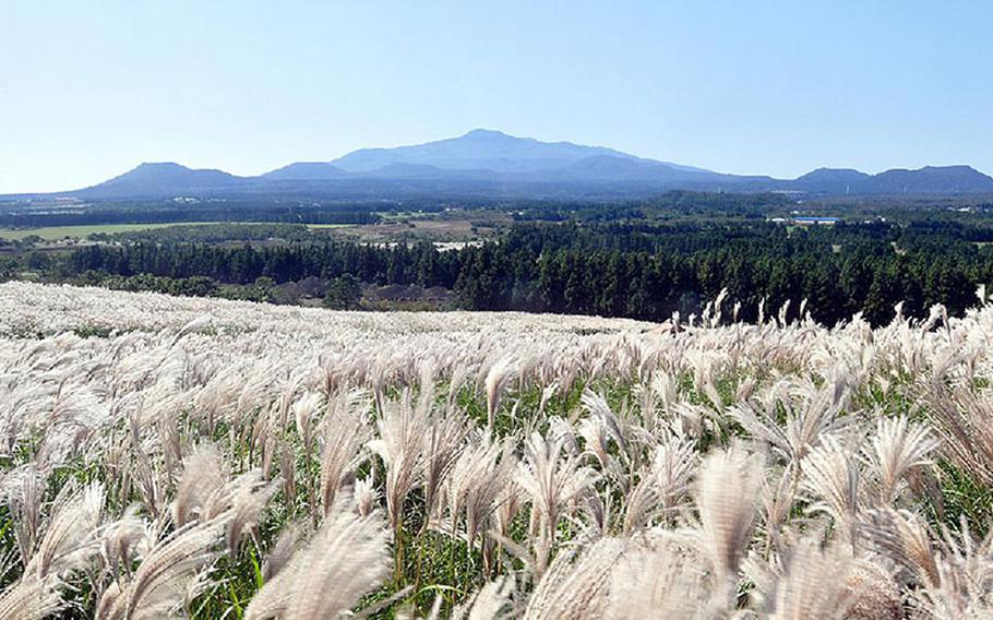 Photos courtesy of Jeju Tourism Organization