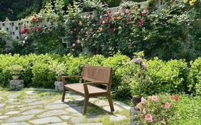 Gyeongnam Arboretum’s Fragrance Garden