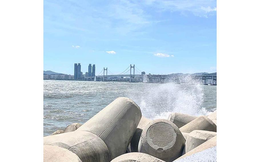 Busan on Thursday afternoon after Typhoon Maysak