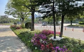 Seoul Grand Park