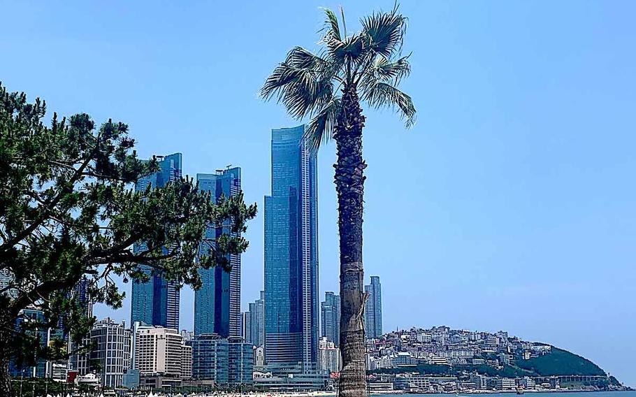 Haeundae Beach