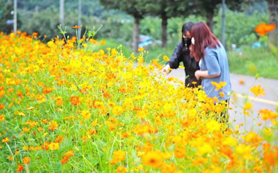 Images: Sancheong-gun