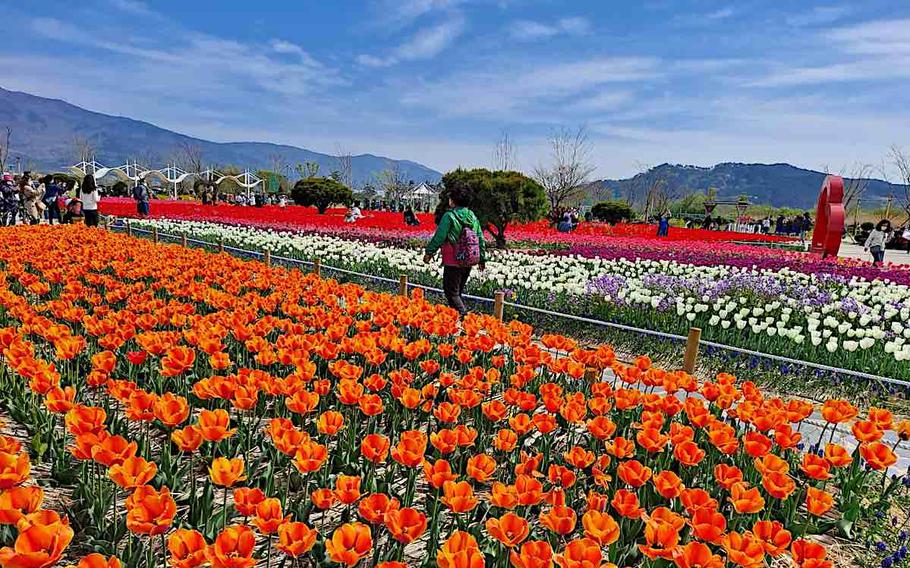 Hwangsan Park