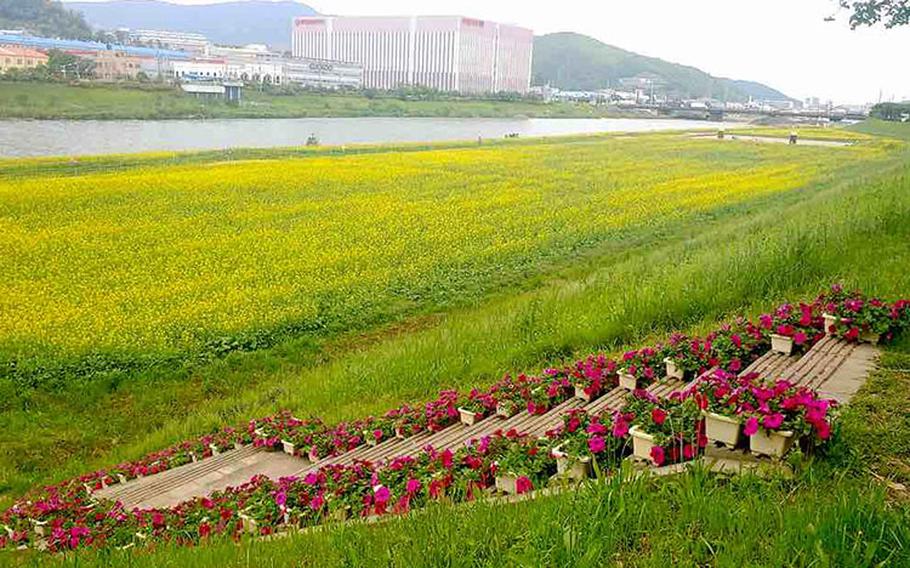 Image: Yangsan City